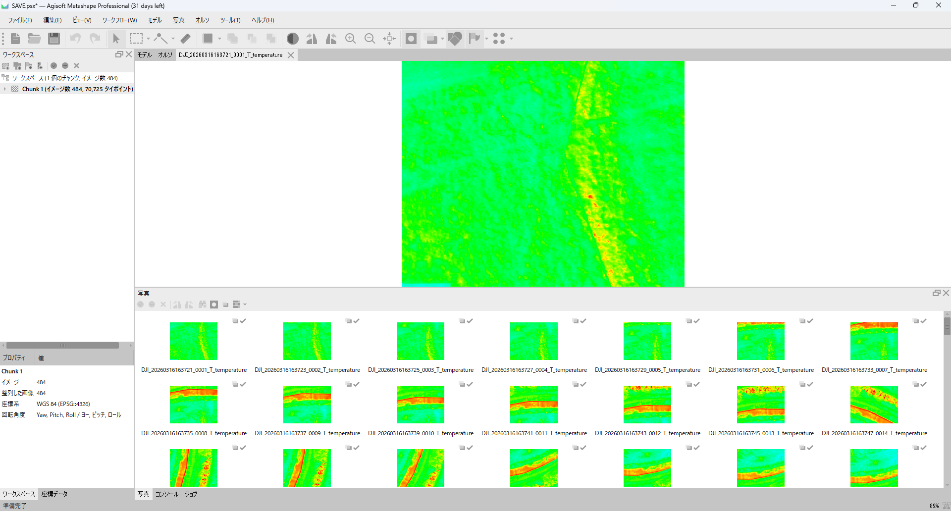 Metashape に CRITIR Convert で書き出した赤外線 TIFF を読み込んだ直後の画面。モデルビューに 1 枚分の温度マップが表示され、写真パネルには複数の TIFF サムネイルが並んでいる