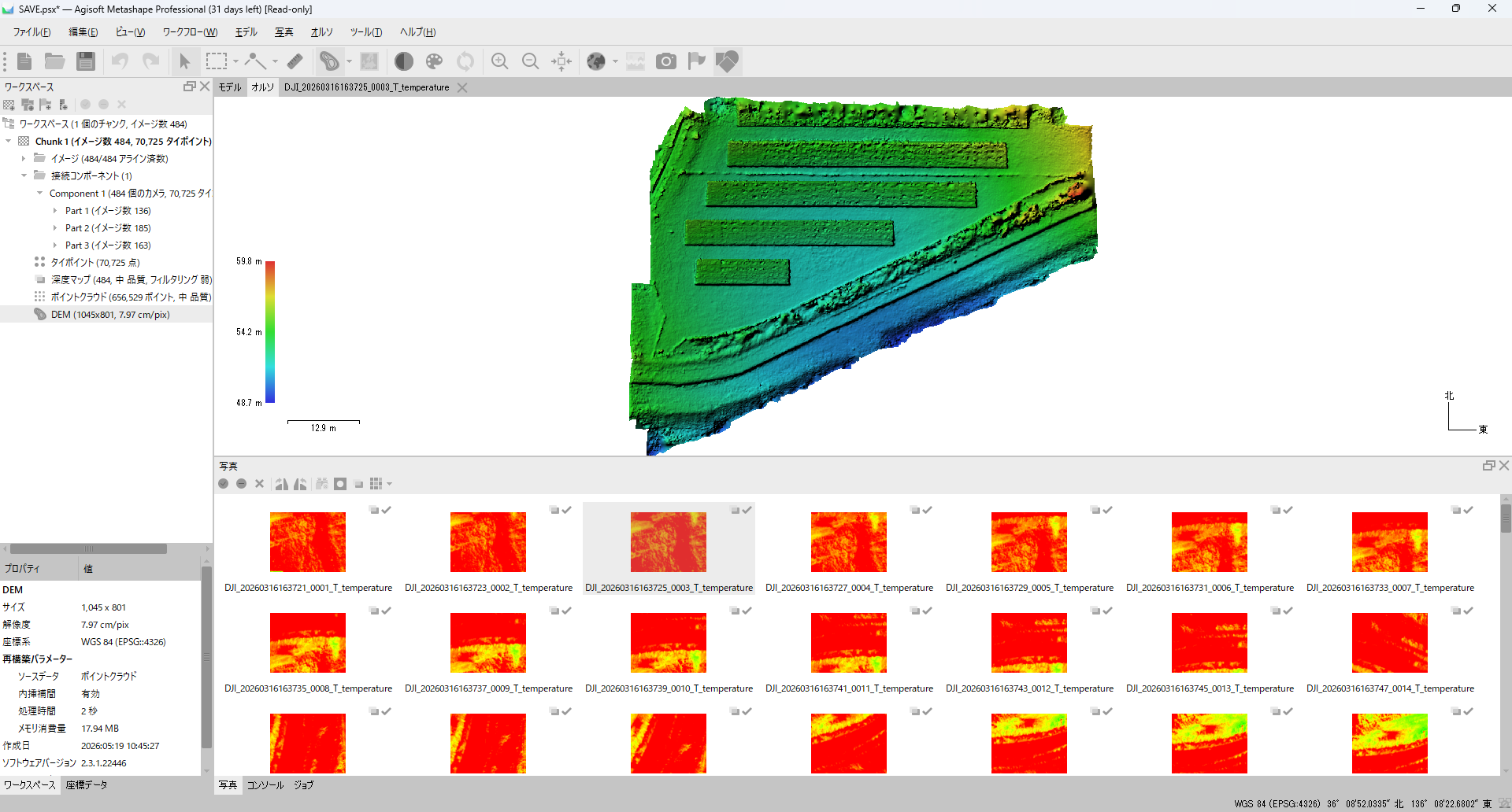 Metashape の 3D ビューに表示された DEM。標高に応じたカラースケールで地表面が表現され、画面左側に標高凡例(m)が表示されている