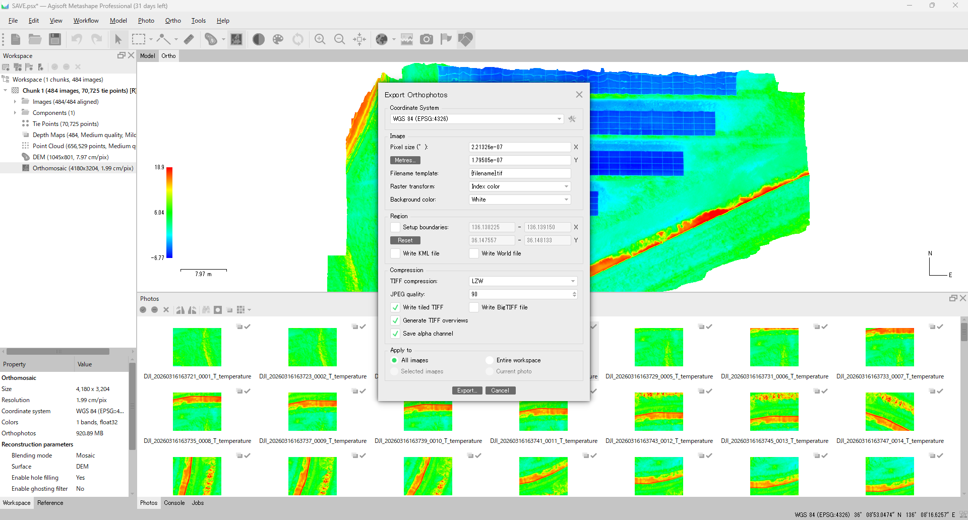 Metashape Export Orthomosaic dialog with TIFF/BigTIFF selected, Raster Transform off for the analytical export, and LZW compression on