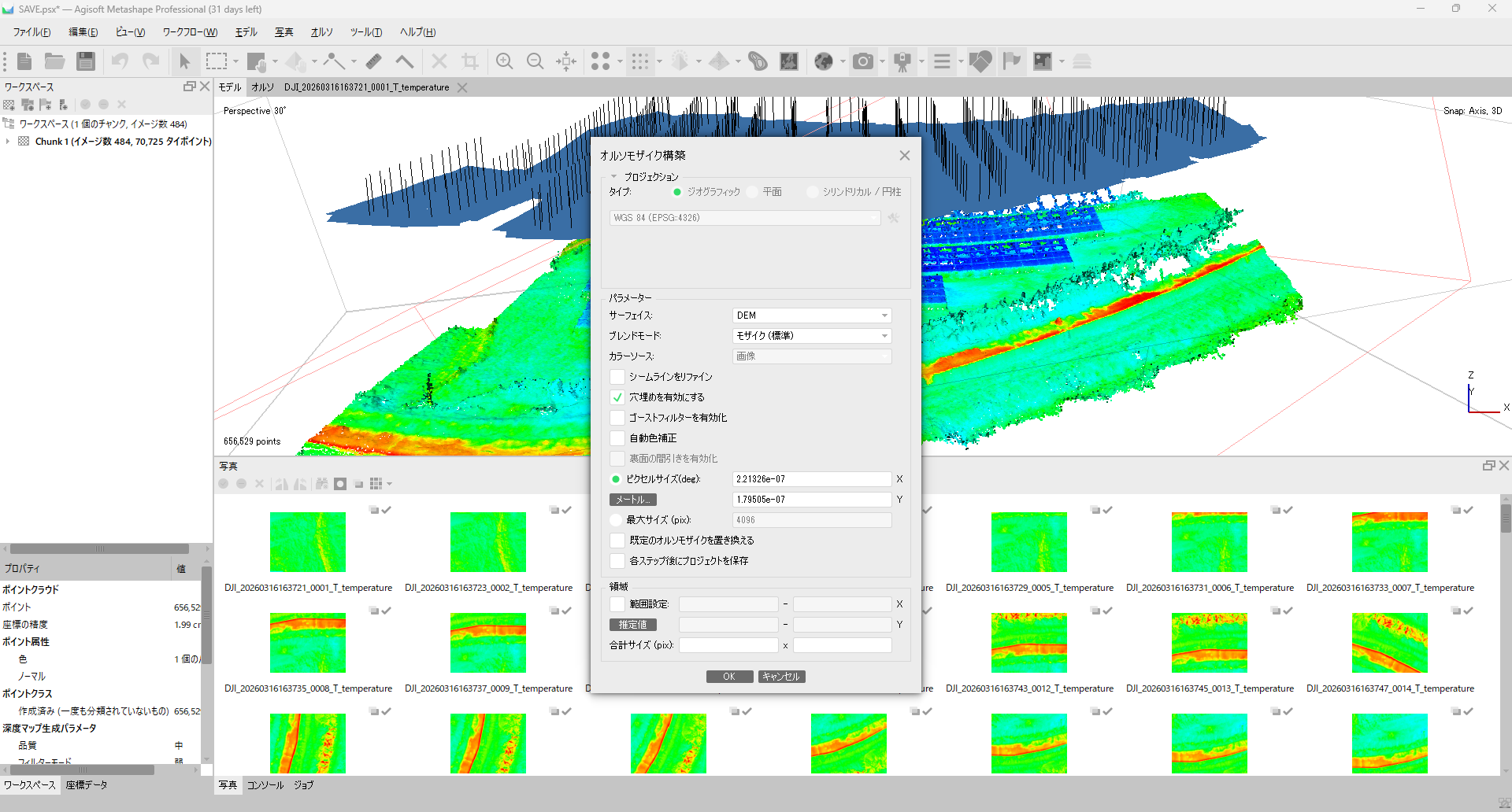 Metashape のオルソモザイクを構築(Build Orthomosaic)ダイアログで Surface=DEM、Blending mode=Mosaic、Projection を DEM と同じ座標系に設定した状態。背景には完成した赤外線オルソが表示されている