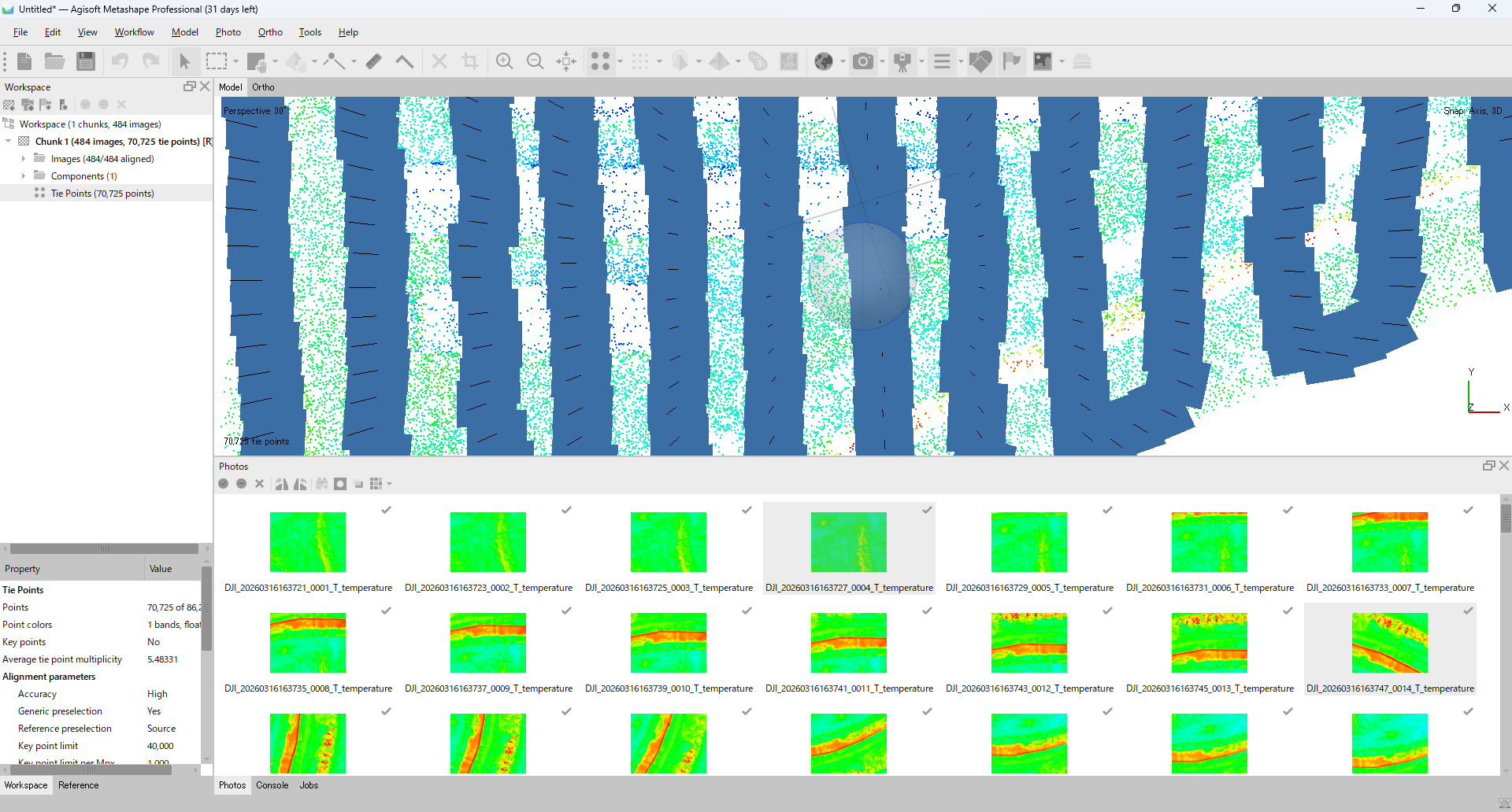 Metashape 3D view after Align Photos completes — rows of aligned camera positions above a sparse tie-point cloud distributed across the captured area